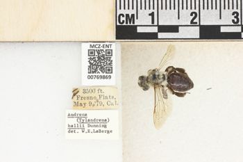 Media type: image;   Entomology 769869 Aspect: Labels